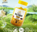 Organic sea moss gummies Proven Sea Moss Gummies