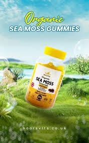 sea moss gummies benefits